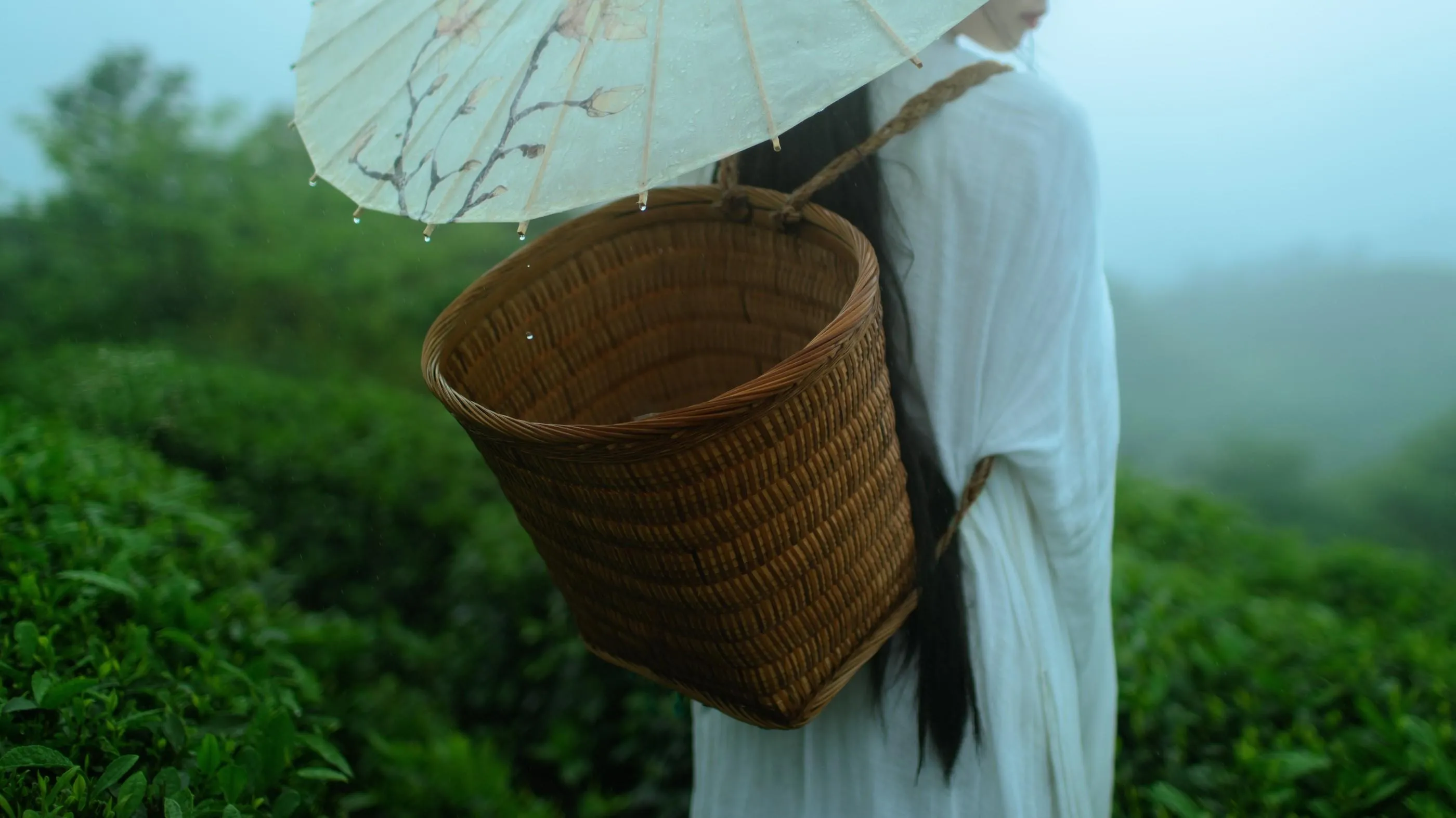 [YITUYU艺图语]2021.12.24 空山灵雨 初茶 [27P]插图5